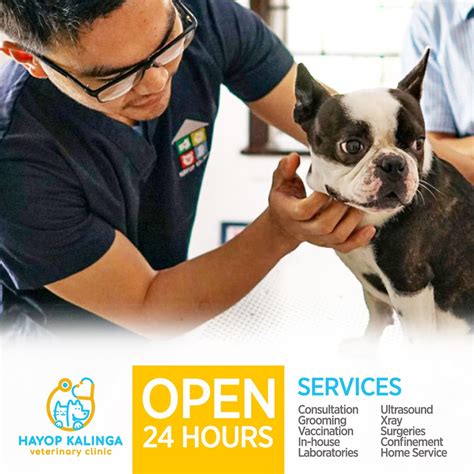 hayop kalinga baguio|We are open 24 .